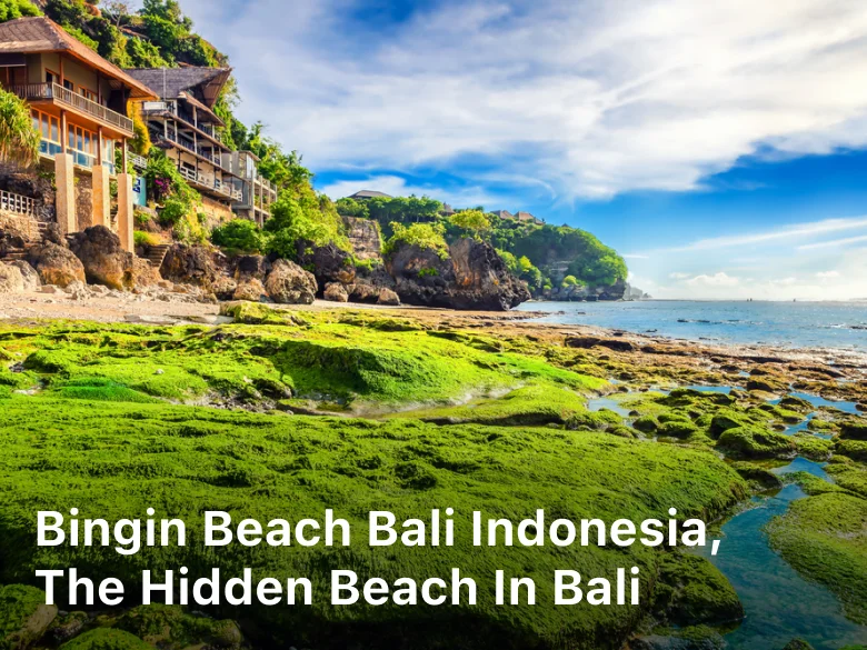 Bingin Beach Bali Indonesia, The Hidden Beach in Bali, Bingin beach bali indonesia things to do, Bingin beach bali indonesia rentals, Bingin beach bali indonesia nightlife, how to get to bingin beach,