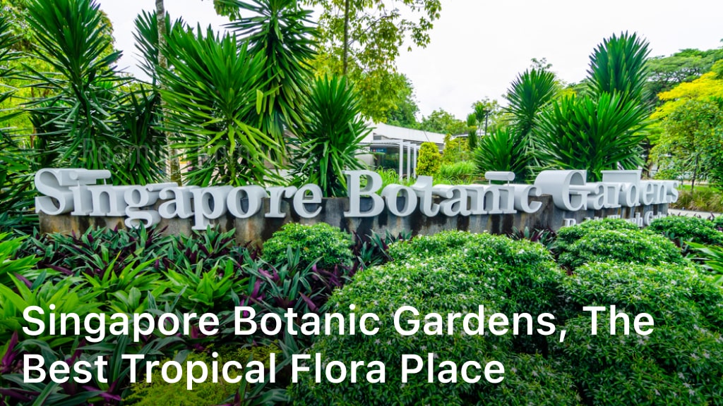 Singapore Botanic Gardens; singapore gardens; botanic gardens singapore; singapore garden; botanic garden singapore; singapore botanic garden; botanical garden singapore; sg botanic garden; gardens in singapore; botanical gardens singapore; singapore botanic gardens singapore; national orchid garden;